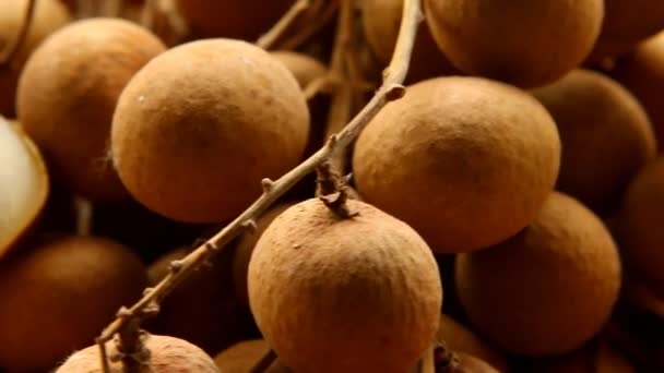 Chiudi Longan Fruit Chiangmai Thailandia — Video Stock