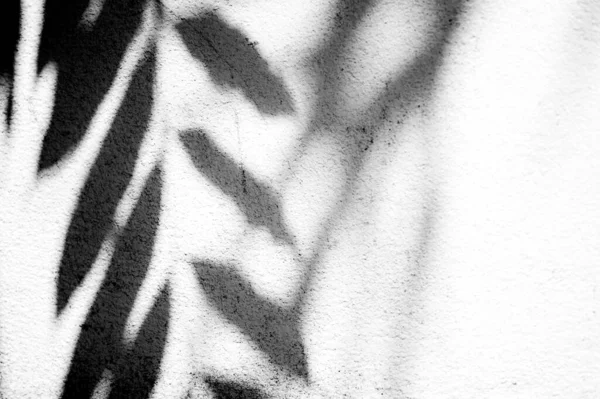 Duvarda gölgeler bırakır, Chiangmai Tayland açıklarında.