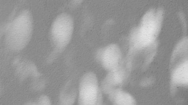 壁に影を残し 屋外チェンマイタイ — ストック動画