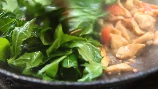 Fritando Legumes Com Frango Picado Panela Porta Chiangmai Tailândia — Vídeo de Stock