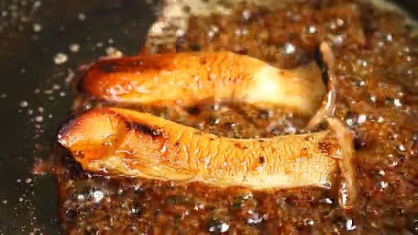 Friture Pleurotus Eryngii Champignon Huître Royale Dans Poêle Porte Chiangmai — Video
