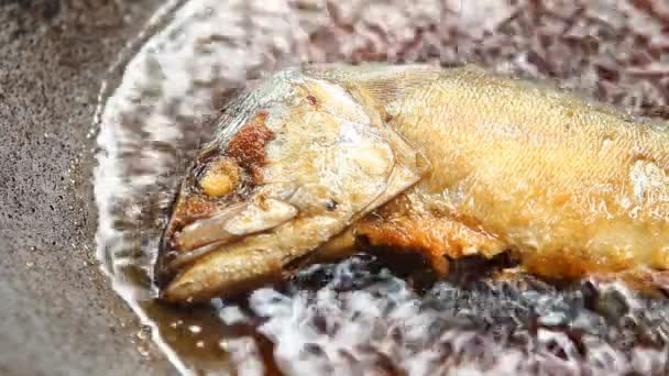 Ryby Ostroboka Patelni Chiangmai Tajlandia — Wideo stockowe