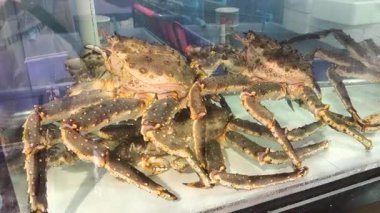 Alaska Kralı yengeçleri akvaryumda, Chiangmai Tayland 'da.