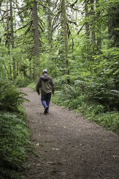 Older man walking away on path in woods