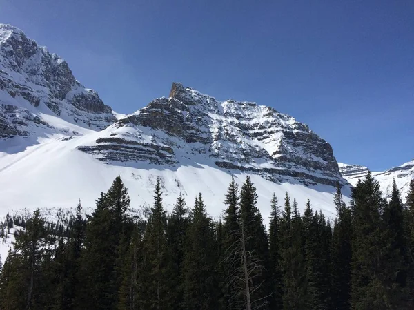 Vista Panorámica Del Icefield Parkway Día Soleado —  Fotos de Stock