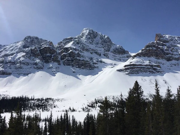 Vista Panorámica Del Icefield Parkway Día Soleado —  Fotos de Stock