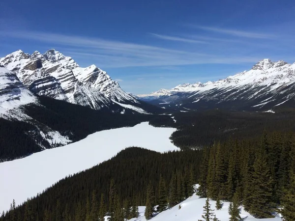 Vista Panorámica Del Icefield Parkway Día Soleado —  Fotos de Stock