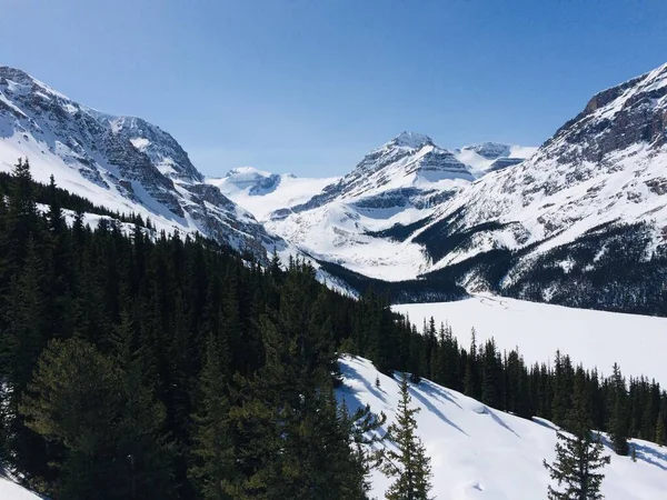 Vista Panorámica Del Icefield Parkway Día Soleado — Foto de Stock