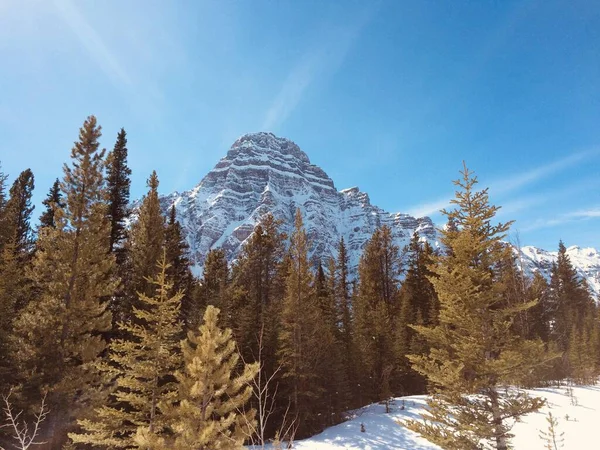 Scenic View Icefield Parkway Sunny Day — Stock Photo, Image