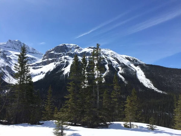 Scenic View Icefield Parkway Sunny Day — Stock Photo, Image
