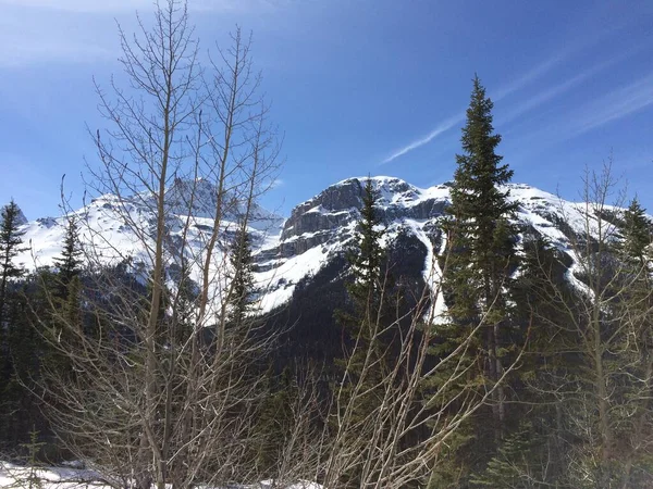 Naturskön Utsikt Över Icefield Parkway Solig Dag — Stockfoto