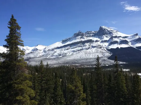 Vista Panorámica Del Icefield Parkway Día Soleado —  Fotos de Stock