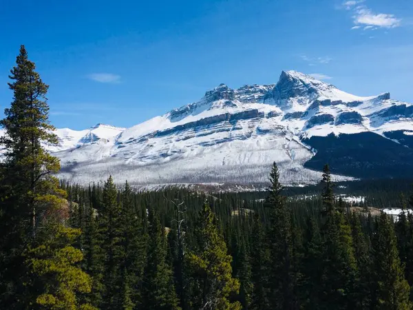 Vista Panorámica Del Icefield Parkway Día Soleado —  Fotos de Stock