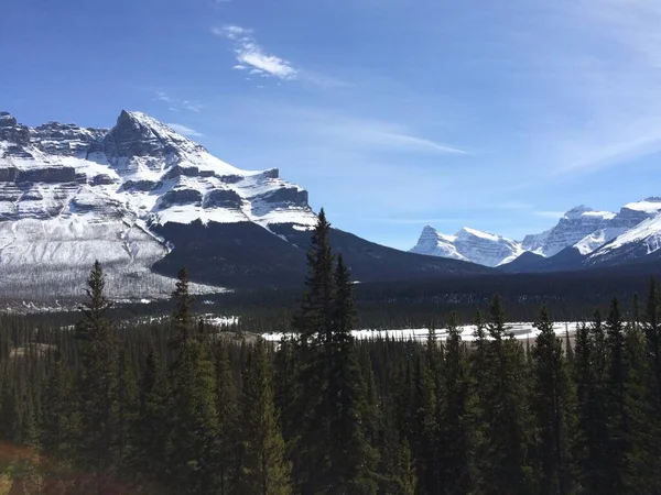 Vista Panorámica Del Icefield Parkway Día Soleado —  Fotos de Stock