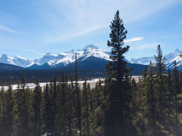 Vista Panorâmica Icefield Parkway Num Dia Ensolarado — Fotografia de Stock