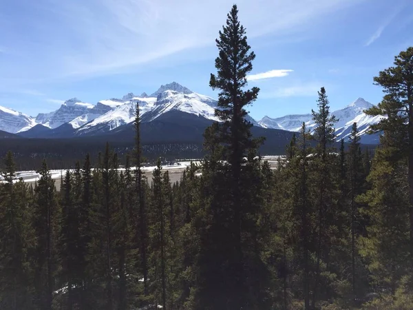 Vista Panorâmica Icefield Parkway Num Dia Ensolarado — Fotografia de Stock