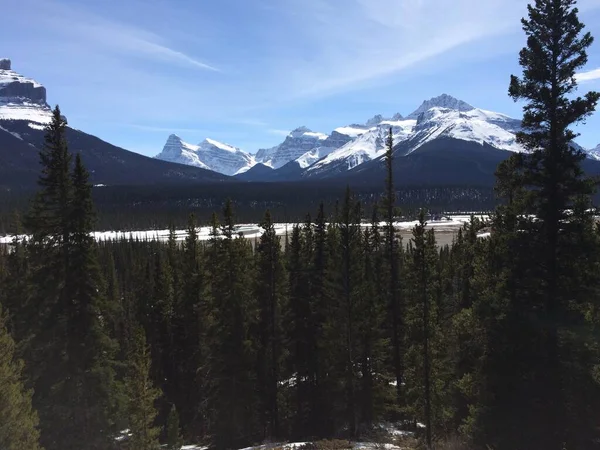 Vista Panorámica Del Icefield Parkway Día Soleado —  Fotos de Stock