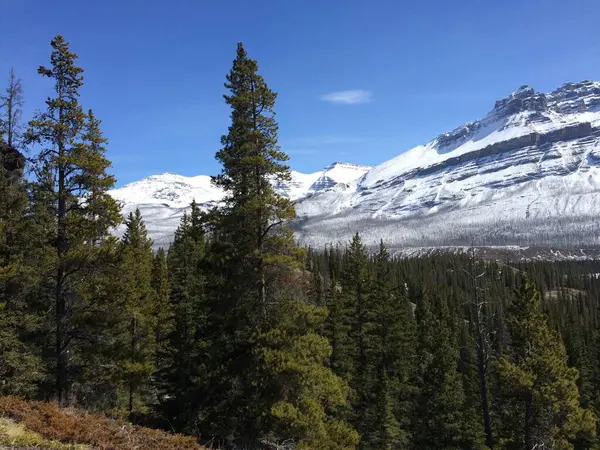 Vista Panorámica Del Icefield Parkway Día Soleado —  Fotos de Stock