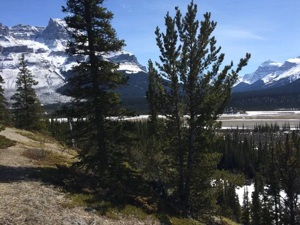 Vista Panorámica Del Icefield Parkway Día Soleado —  Fotos de Stock