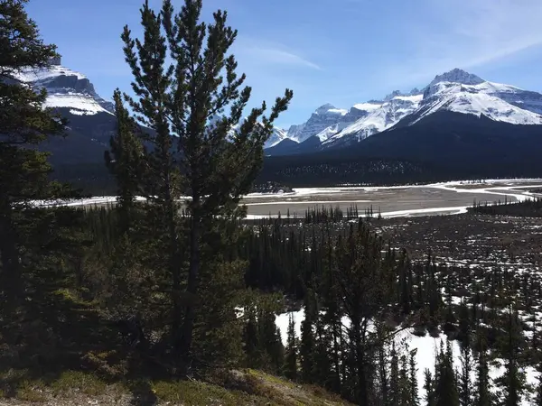 Naturskön Utsikt Över Icefield Parkway Solig Dag — Stockfoto