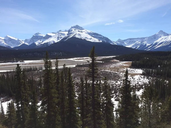 Vista Panorâmica Icefield Parkway Num Dia Ensolarado — Fotografia de Stock