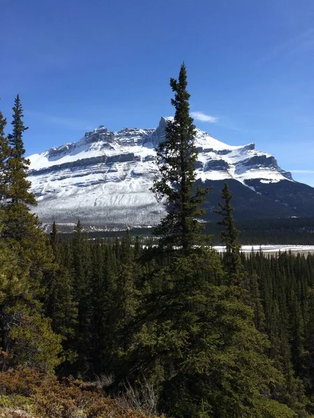 Vista Panorámica Del Icefield Parkway Día Soleado —  Fotos de Stock