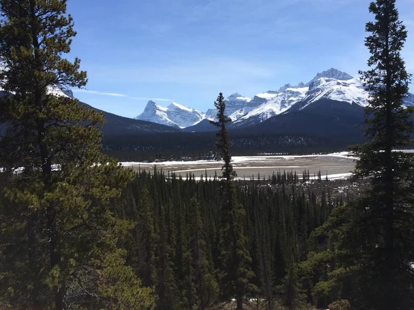 Vista Panorámica Del Icefield Parkway Día Soleado —  Fotos de Stock