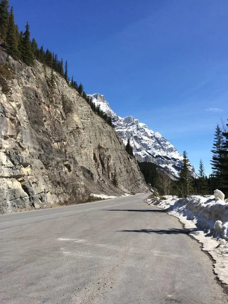 Scenic View Icefield Parkway Sunny Day — Stock Photo, Image