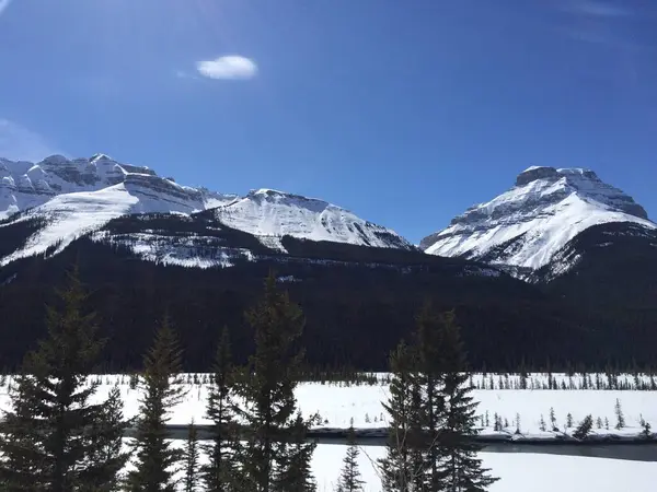 Vista Panorámica Del Icefield Parkway Día Soleado —  Fotos de Stock