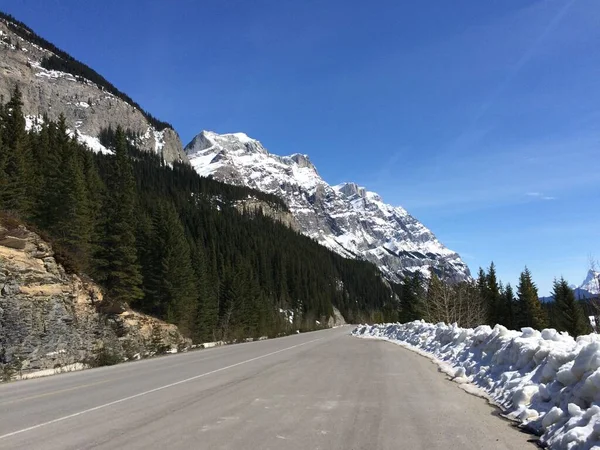 Scenic Kilátás Icefield Parkway Egy Napsütéses Napon — Stock Fotó