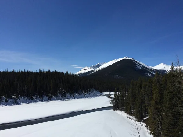 Vista Panorámica Del Icefield Parkway Día Soleado — Foto de Stock