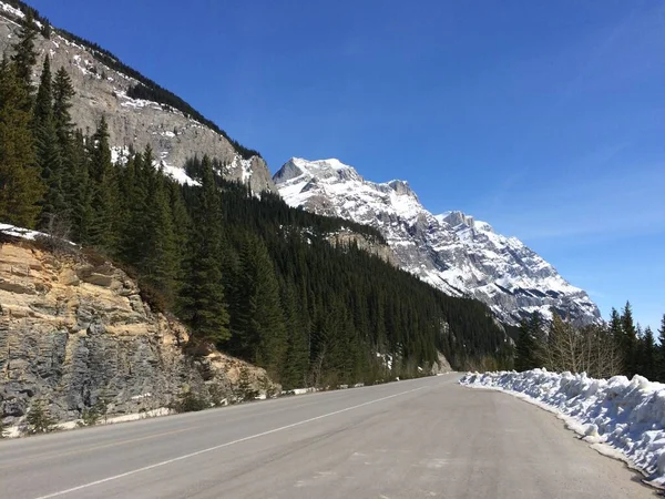 Scenic Kilátás Icefield Parkway Egy Napsütéses Napon — Stock Fotó