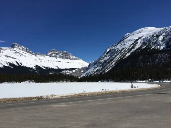 Vista Panorámica Del Icefield Parkway Día Soleado — Foto de Stock