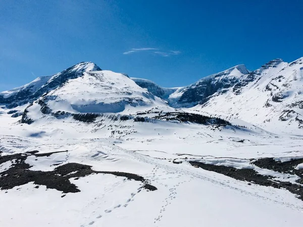 Vista Panorámica Del Icefield Parkway Día Soleado — Foto de Stock