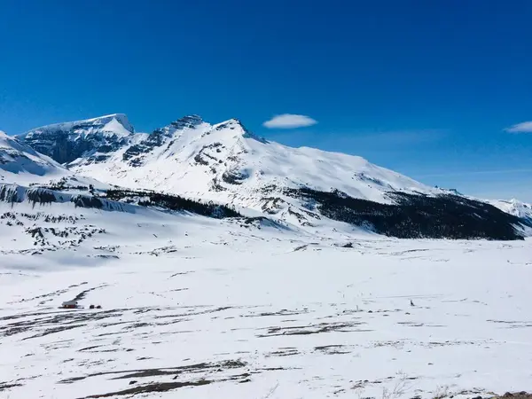 Blick Auf Den Icefield Parkway Einem Sonnigen Tag — Stockfoto