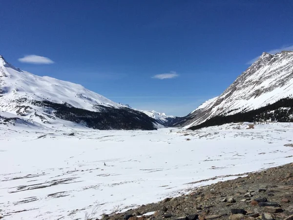 Scenic Kilátás Icefield Parkway Egy Napsütéses Napon — Stock Fotó