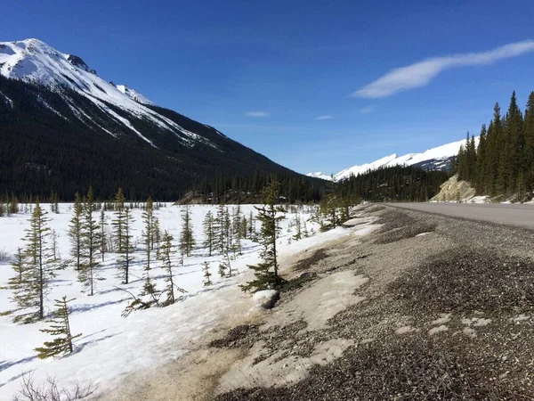 Vista Panorámica Del Icefield Parkway Día Soleado — Foto de Stock