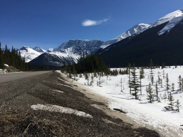 Vista Panorámica Del Icefield Parkway Día Soleado — Foto de Stock