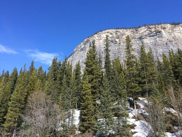 Scenic View Icefield Parkway Sunny Day — Stock Photo, Image