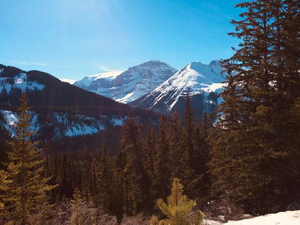 Vista Panorâmica Icefield Parkway Num Dia Ensolarado — Fotografia de Stock