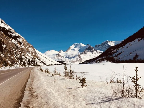 Landschappelijk Uitzicht Icefield Parkway Een Zonnige Dag — Stockfoto