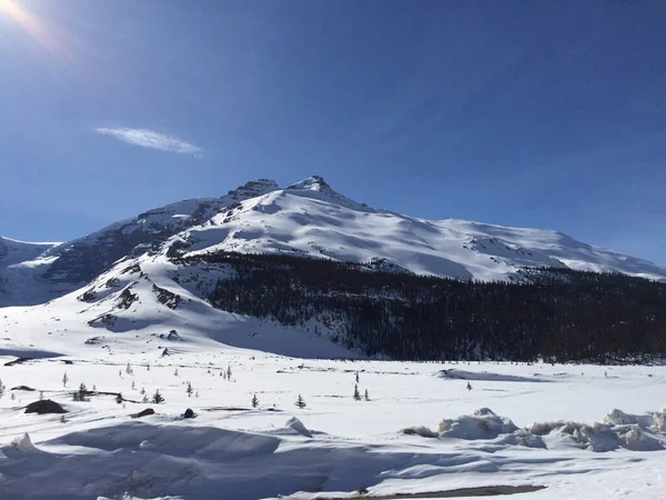 Vue Panoramique Promenade Champ Glace Par Une Journée Ensoleillée — Photo