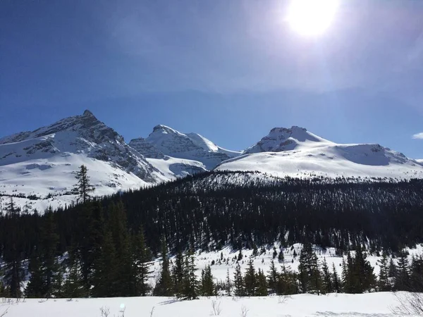 Vista Panorámica Del Icefield Parkway Día Soleado — Foto de Stock