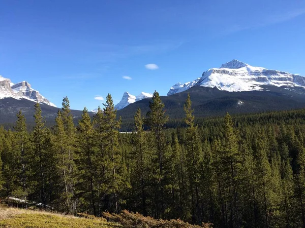 Vista Panorâmica Icefield Parkway Num Dia Ensolarado — Fotografia de Stock