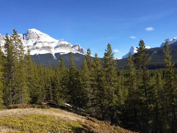 Vista Panorâmica Icefield Parkway Num Dia Ensolarado — Fotografia de Stock