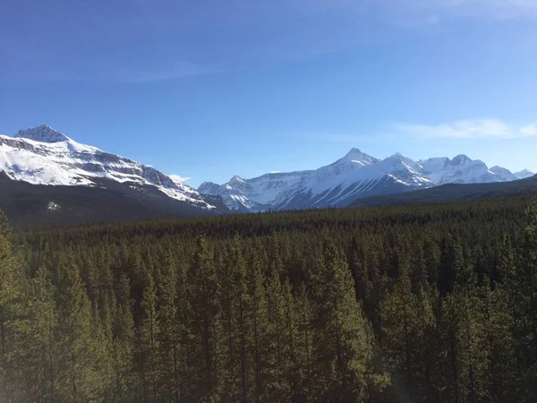 Vista Panorâmica Icefield Parkway Num Dia Ensolarado — Fotografia de Stock