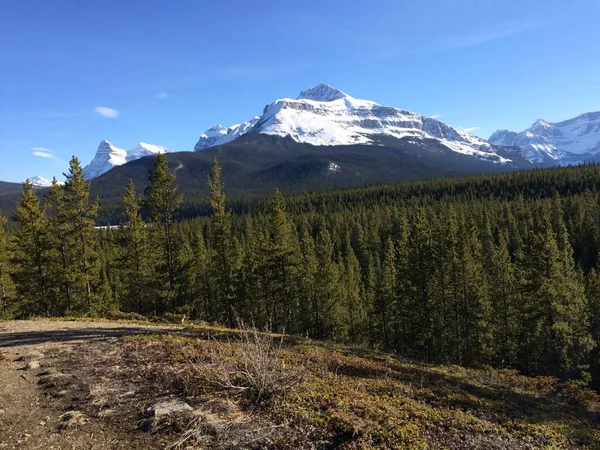 Vista Panorámica Del Icefield Parkway Día Soleado —  Fotos de Stock