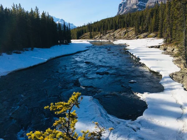 Scenic View Icefield Parkway Sunny Day — Stock Photo, Image