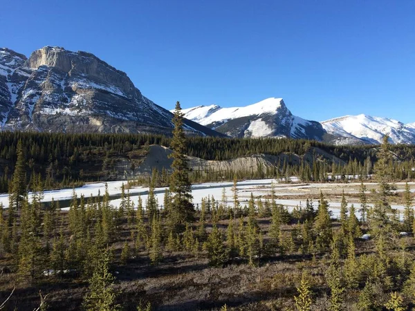 Naturskön Utsikt Över Icefield Parkway Solig Dag — Stockfoto