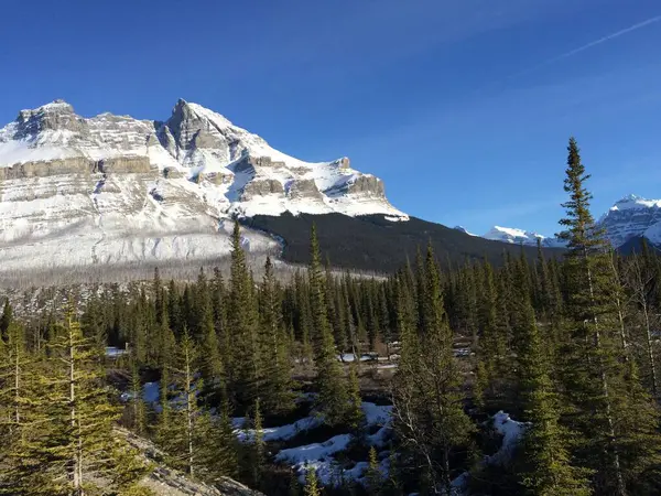 Vista Panorámica Del Icefield Parkway Día Soleado —  Fotos de Stock